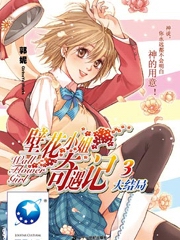 壁花小姐奇遇记3封面