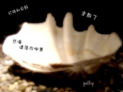 ����,���ഺ����ʧ