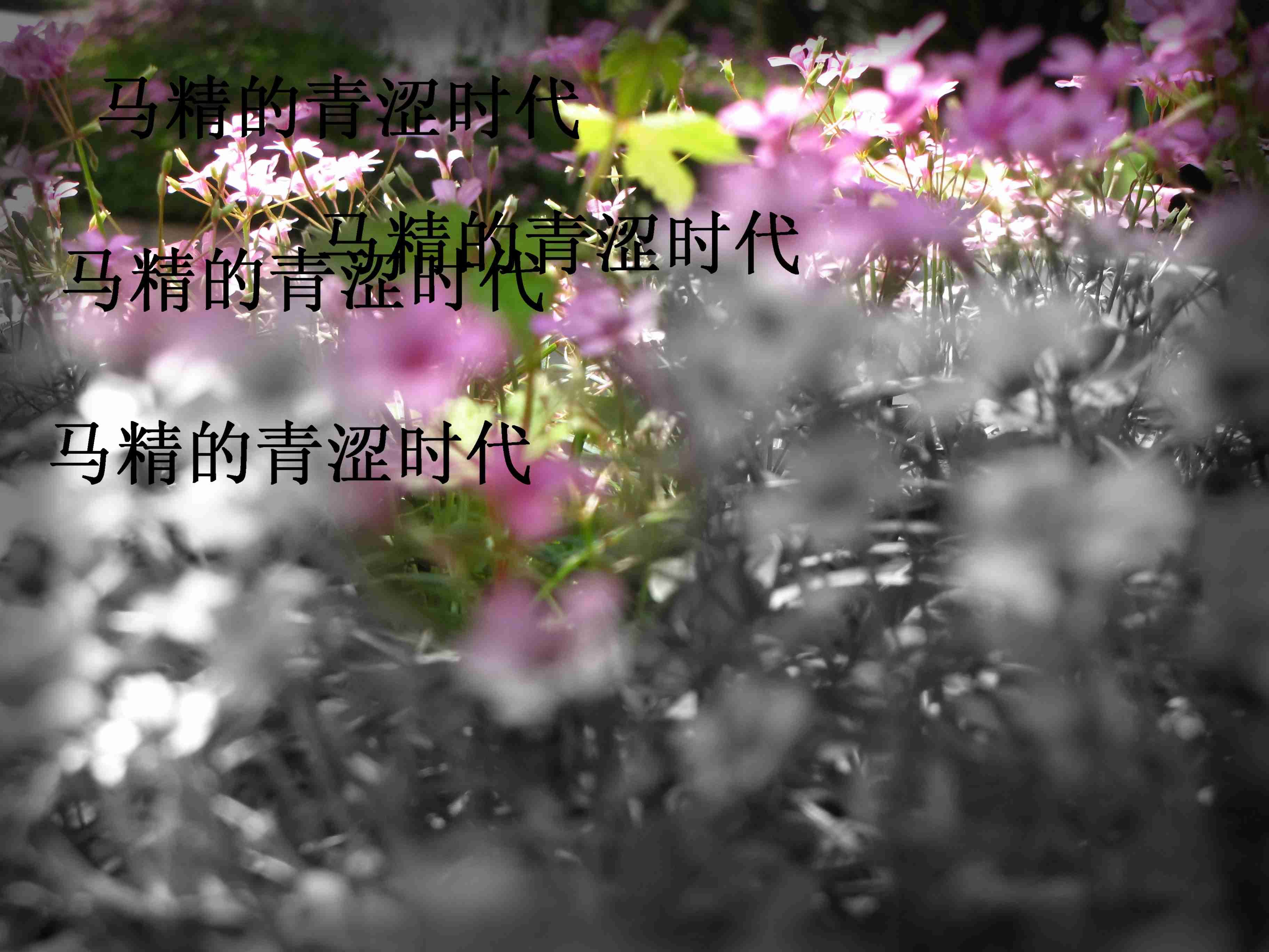 ��������ɬʱ��