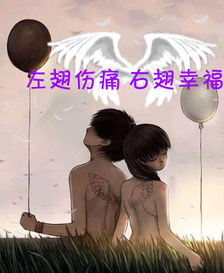 左翅伤痛 右翅幸福封面