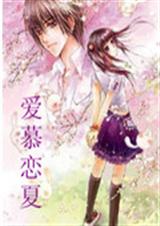 爱慕恋夏封面