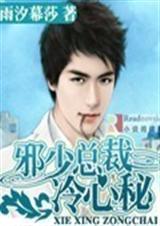 邪少总裁冷心秘封面