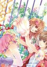 �����ĸ���