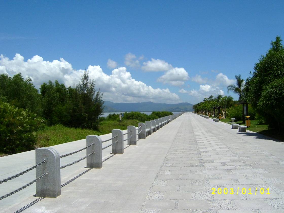 ��Ƭ�Ϸ��ĺ�����