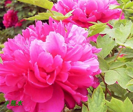 ��������������