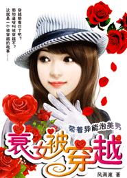 衰女被穿越封面