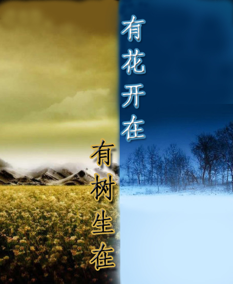 有花开在.有树生在封面