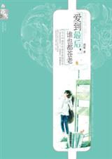 以千万的姿态说爱你:爱到最后,谁也都苍老封面