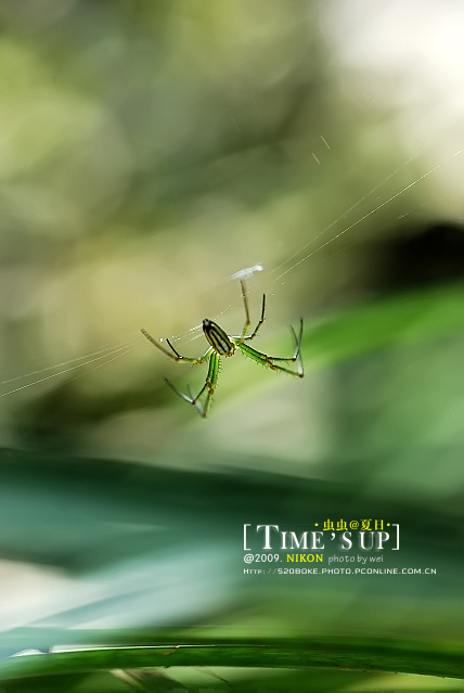 һֱ������