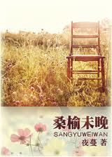 桑榆未晚(高干)封面