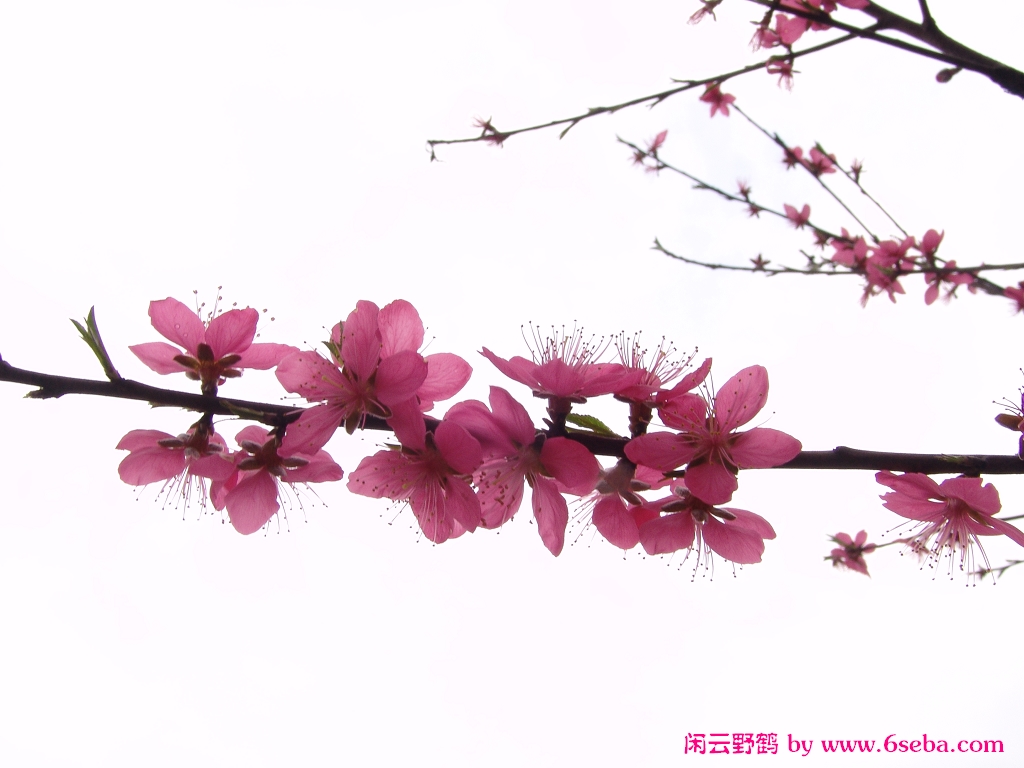 �滨�����