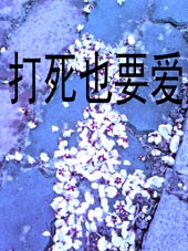 ����ҲҪ��