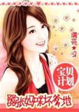 �����ƻ�:�������仵����(ȫ��+����)