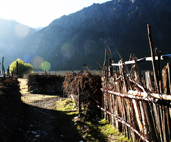 ƽ������