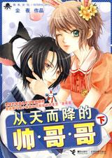 从天而降的帅哥哥2封面