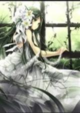 ������������˧������