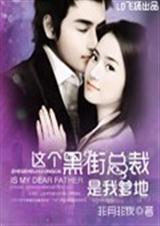 这个黑街总裁是我爹地封面