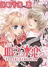 Ѫ֮��������