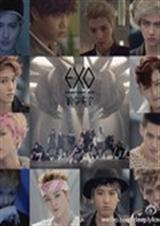 ����ʮ�����������������