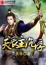 天辰主沉浮封面