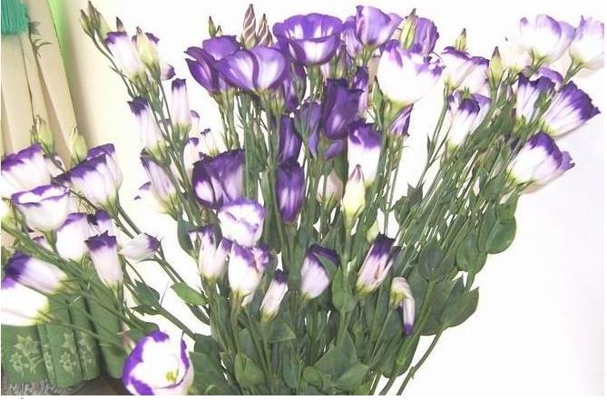 �۹��������