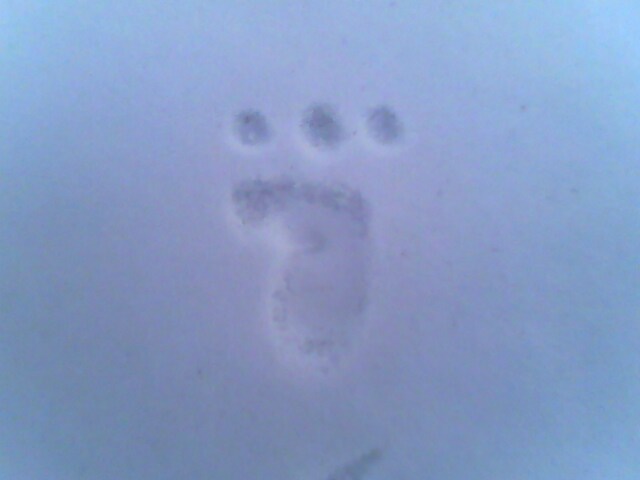 �����˻��ǿ���