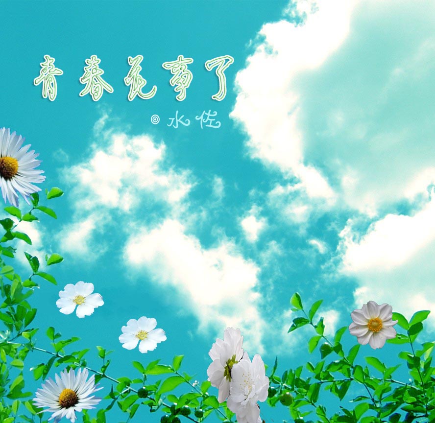 青春花事了封面