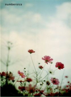 �ɿ����ķ���