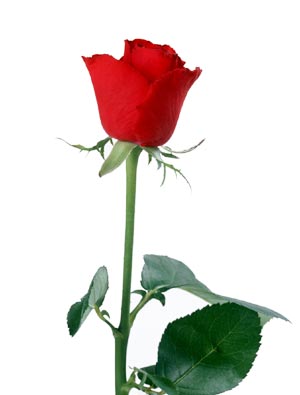 С�ǹ��¶�--֮һ:õ��֮��