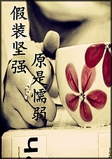 ��װ��ǿ,ԭ��ų������