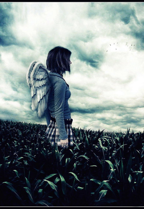 �������