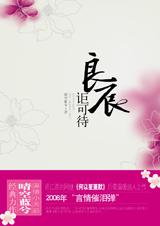 良辰讵可待封面