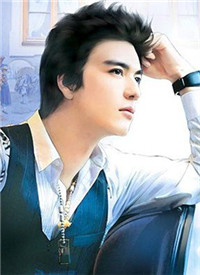 ����:ʧ���ܲõĴ�������