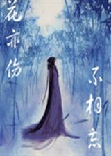 �����˲�����