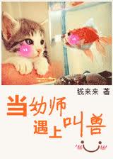 ����ʦ���Ͻ��޷���