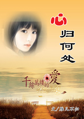 心归何处封面